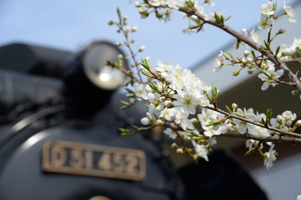 D51と共に