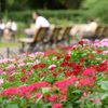 昼下がりの公園