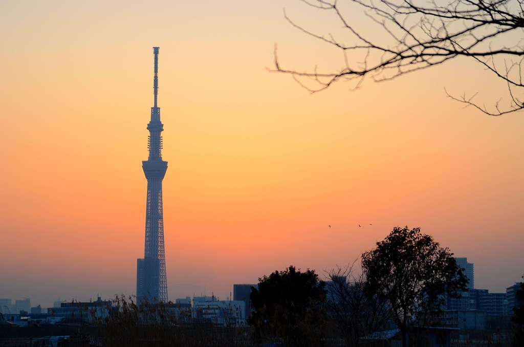 夕焼けホリゾント