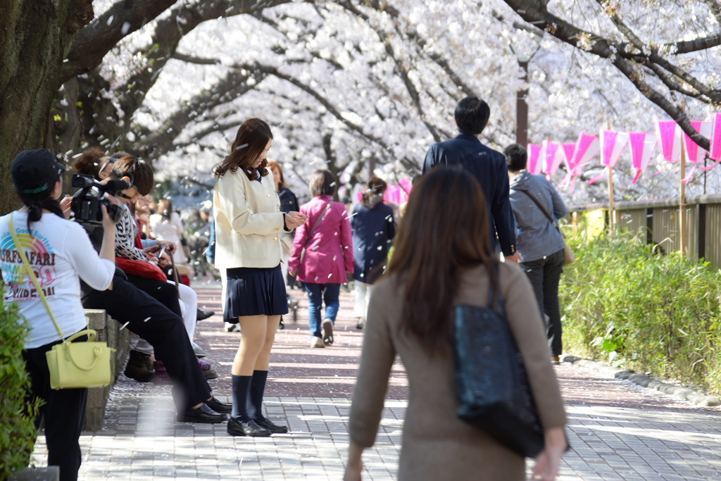 花弁を手に