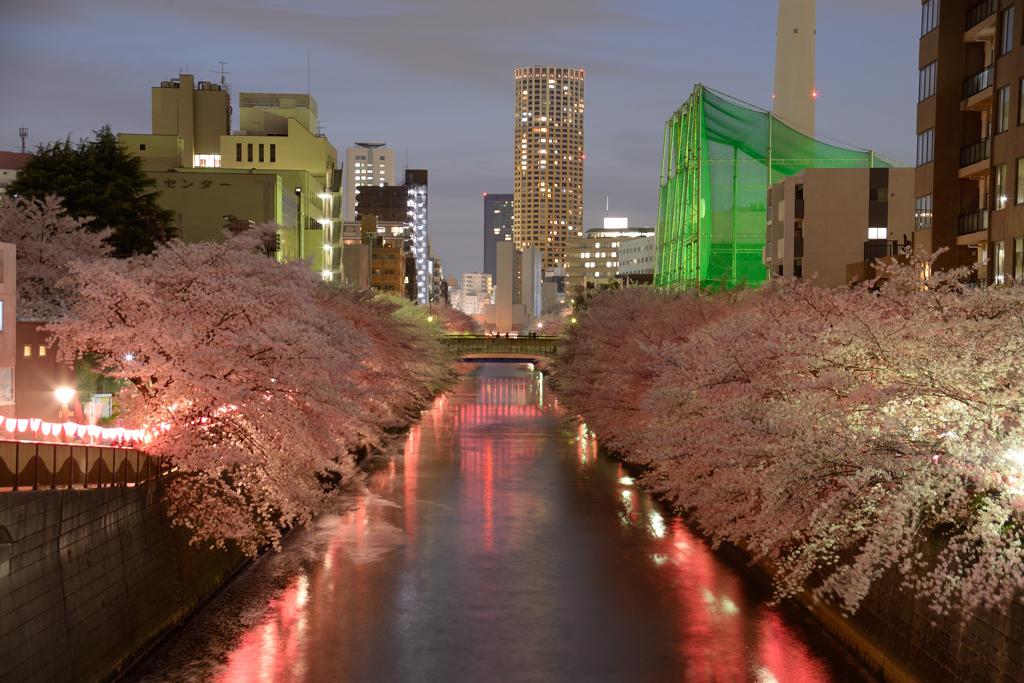 目黒川の夜景