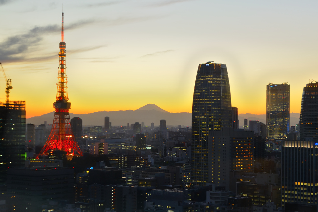 都心の夕景