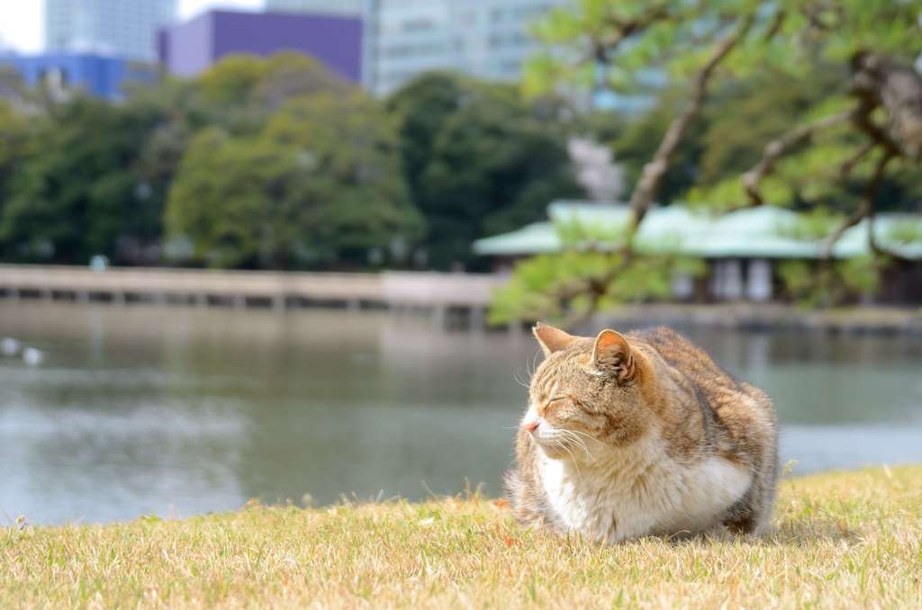 眠いわぁ