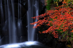 横浜市最大瀑布「白糸の滝」