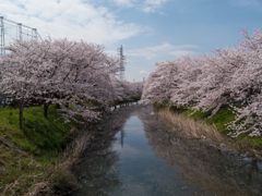 上流にて