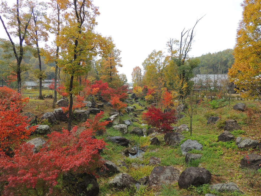 霧紅葉