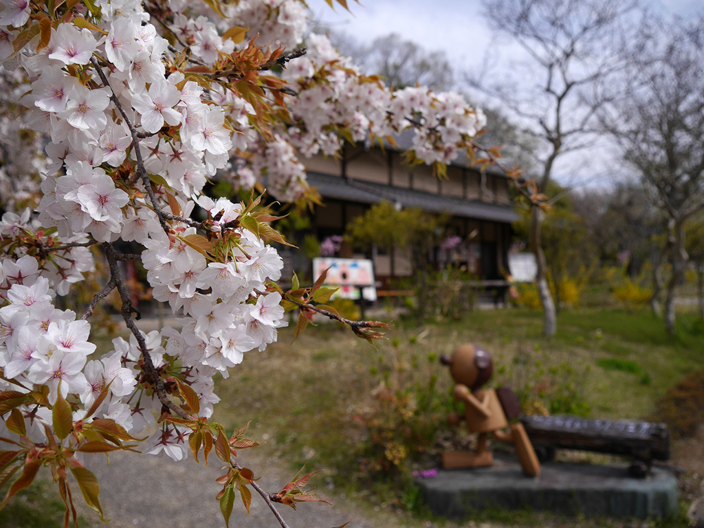 昭和と春の香り
