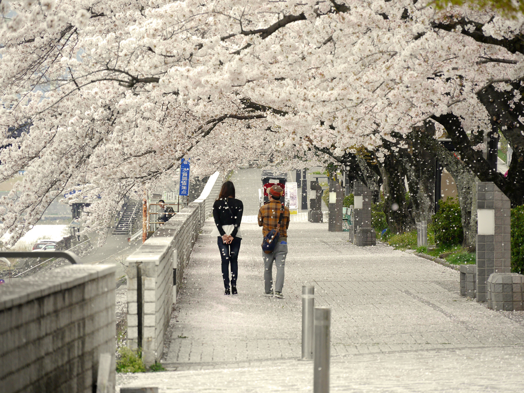 桜色ミニッツ