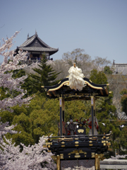 祭りだワッショイ