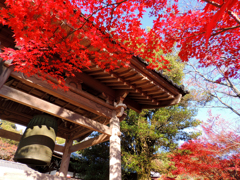 寂光院の紅葉