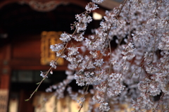 大石神社