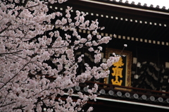 知恩院