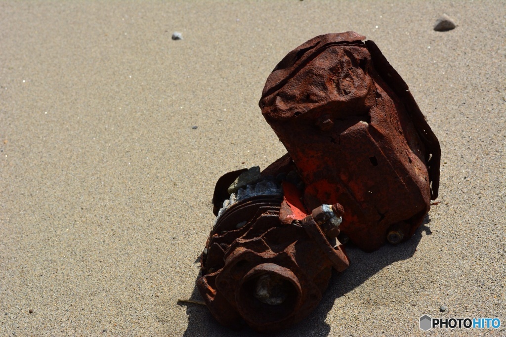 捨てられて朽ちて