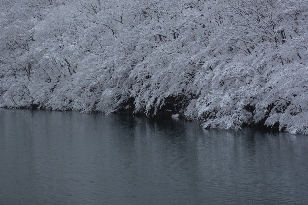 ダム湖の冬