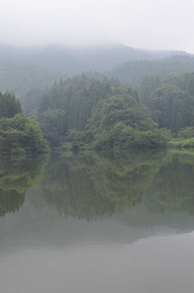 山中の霧