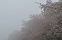 霞深し②