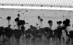 rusting steel