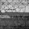 through the wire
