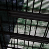 through the roof
