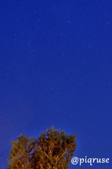 星