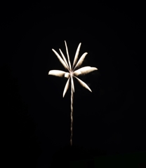真駒内花火大会
