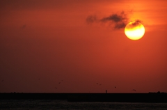 太陽