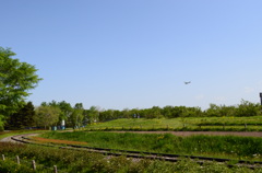 百合が原公園