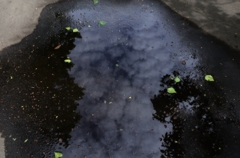 水たまりに映る空