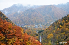 秋の彩り