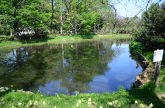 百合が原公園 