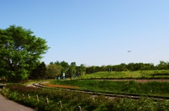 百合が原公園