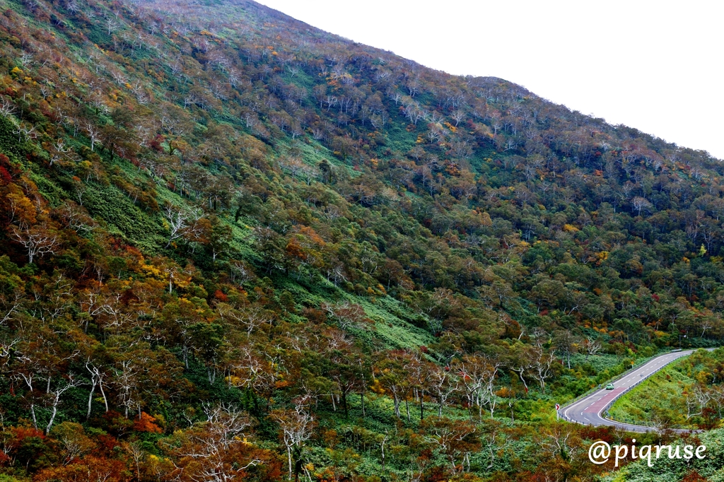 ニセコパノラマライン