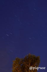 星