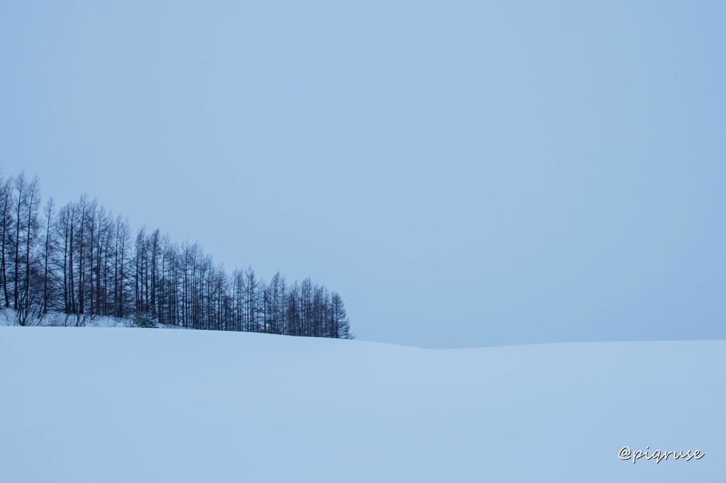 広大な雪原