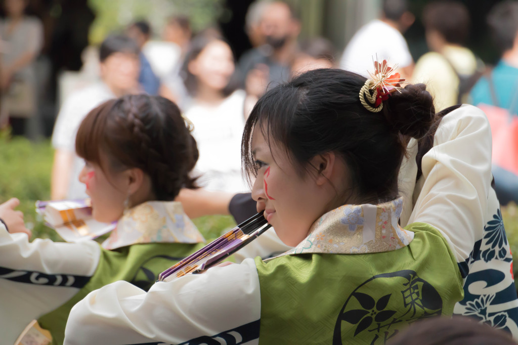 原宿スーパーよさこい2014（早稲田大学よさこいチーム東京花火）