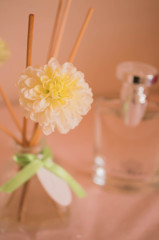 Aromatic-Rose 2016