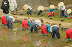 田植え祭