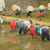 田植え祭