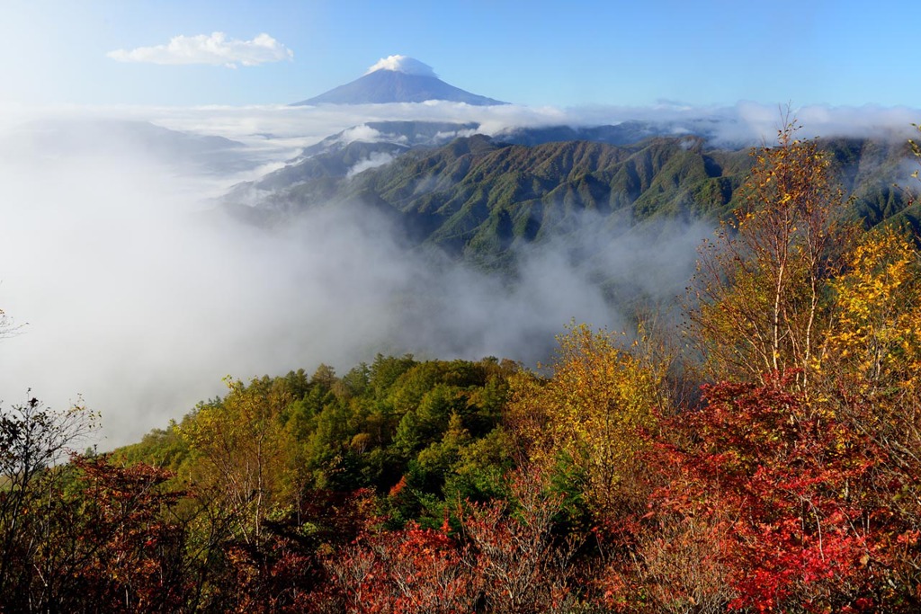 紅葉彩景2013