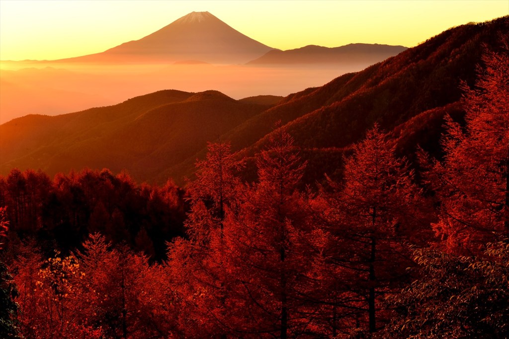 朝陽の輝き