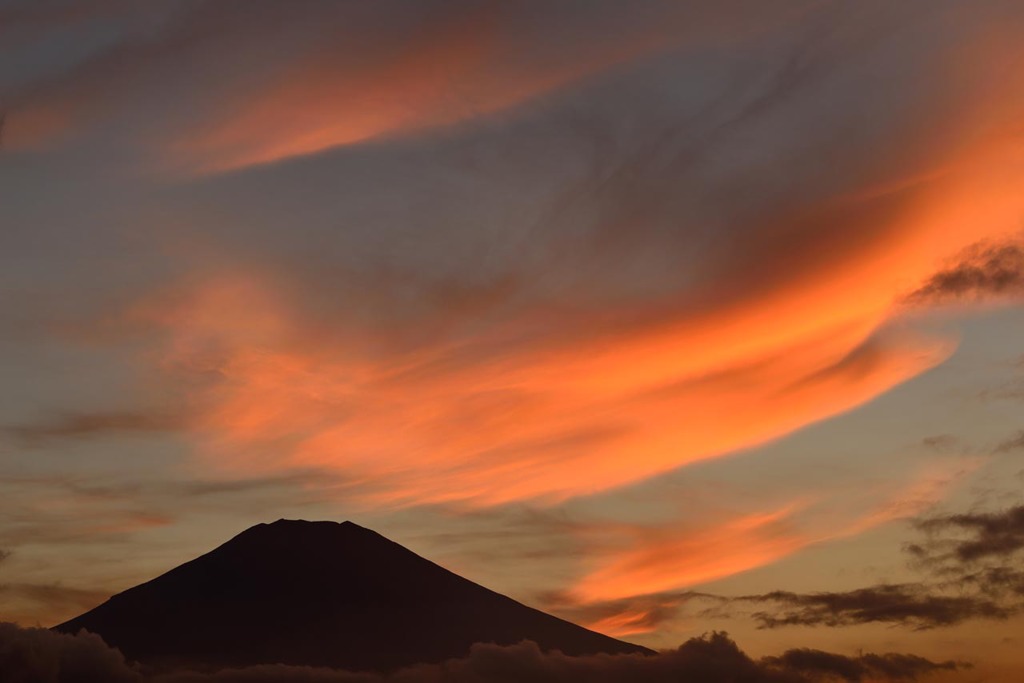 夕景に彩る