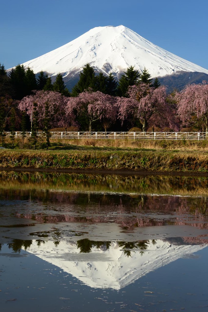 逆さ富士