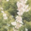 玉蔵院④