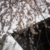 玉蔵院③