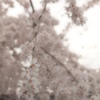 玉蔵院⑤