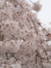 玉蔵院⑧