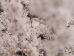 玉蔵院⑥