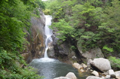 初夏の仙娥滝