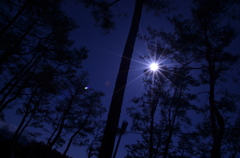 空と木と太陽７