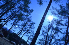 空と木と太陽４
